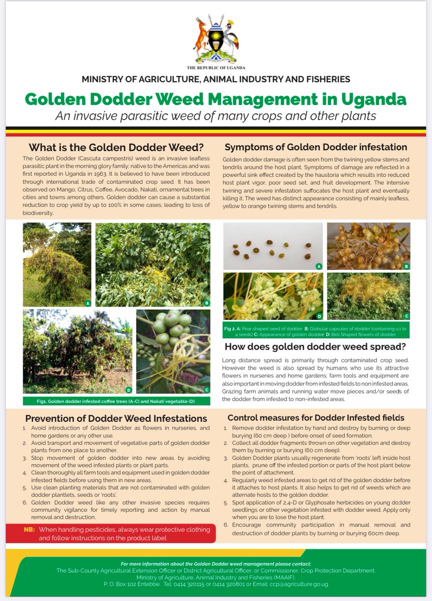 Benius Tukahirwa tweet media