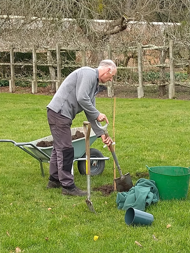 parhaminsussex's tweet photo. The team hasn't just been pruning. This week our Head Gardener, Andrew, has been busy planting new apple trees. Hopefully, this will mean plenty more Apple Juice and Apple Cider for sale in the future! #parhamhouseandgardens #parhaminsussex #appletrees #winterplanting #orchard https://t.co/qq7wVixL1d
