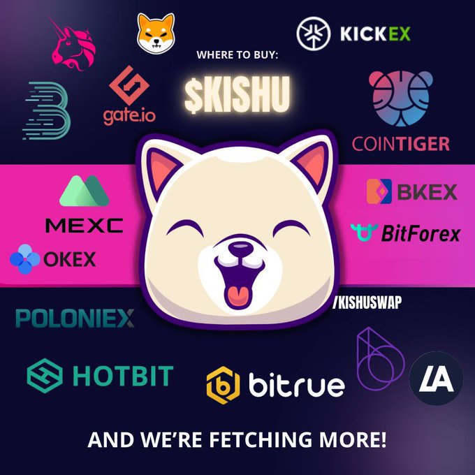 Nedp767's tweet photo. @binance #KISHU🚀🚀 https://t.co/REf8Vxb1dW