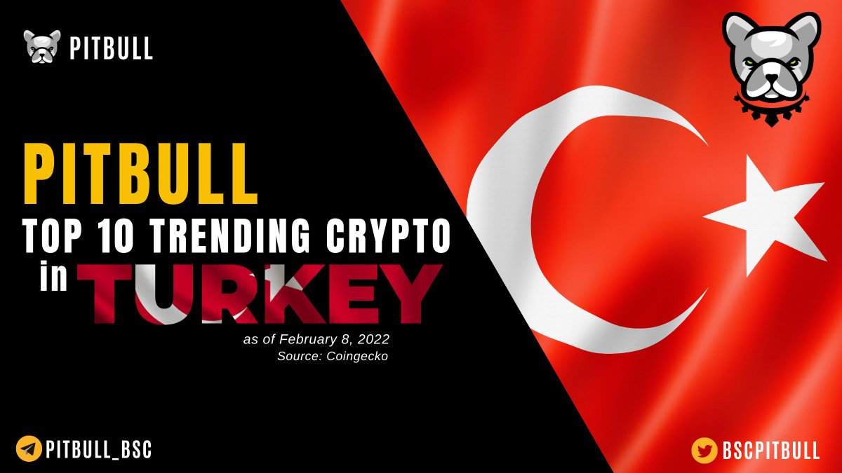 cryptorukawa's tweet photo. #Pitbull token is Top 10 Trending #Cryptocurrencies in #Turkey 🇹🇷

Source: @coingecko 

#PIT #Pitbullish #BSCGem #pitbulltoken @BscPitbull @BinanceChain @coinexcom @HuobiGlobal  #NFT https://t.co/Ajd8vF325F