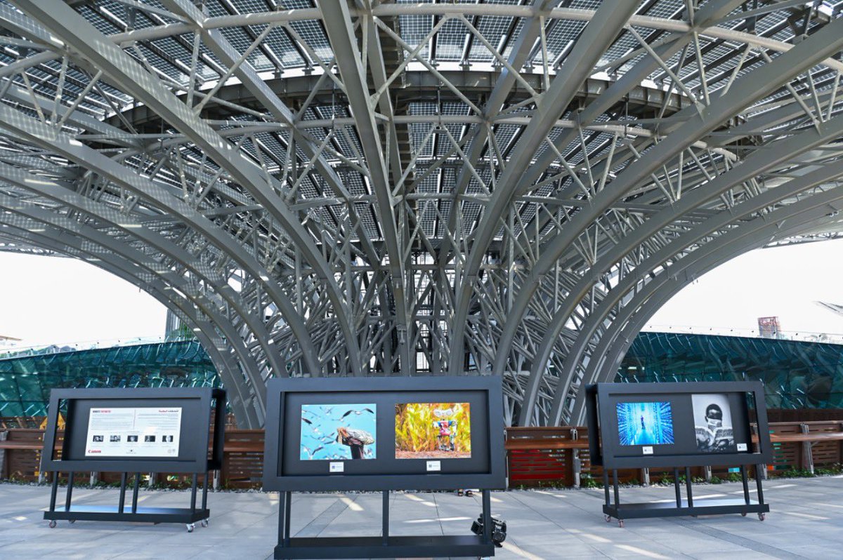 HHShkMohd's tweet photo. كما زرت اليوم جناح الاستدامة في إكسبو دبي الذي يغطيه ٤٩٠٠ لوح شمسي ويضم ١٨ شجرة من أشجار الطاقة تولد كهرباء تكفي لشحن ٩٠٠ ألف هاتف متحرك .. أفكار مستدامة نراها اليوم معروضة في إكسبو… وسنراها غداً واقعاً حقيقياً في مدن المستقبل https://t.co/BzGpAA0rRc