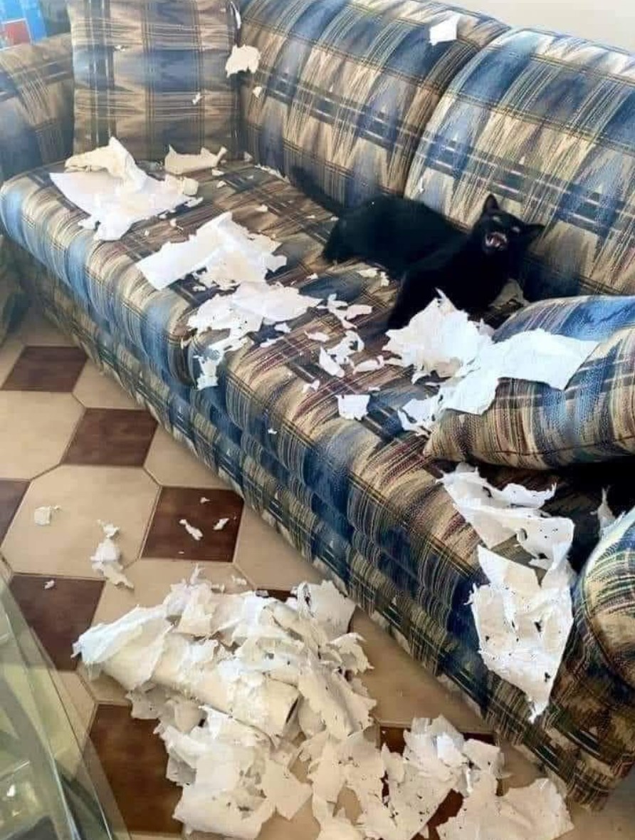 What they write: "Thank you for your submission. Your paper has now been reviewed by experts in the field."

What I see: