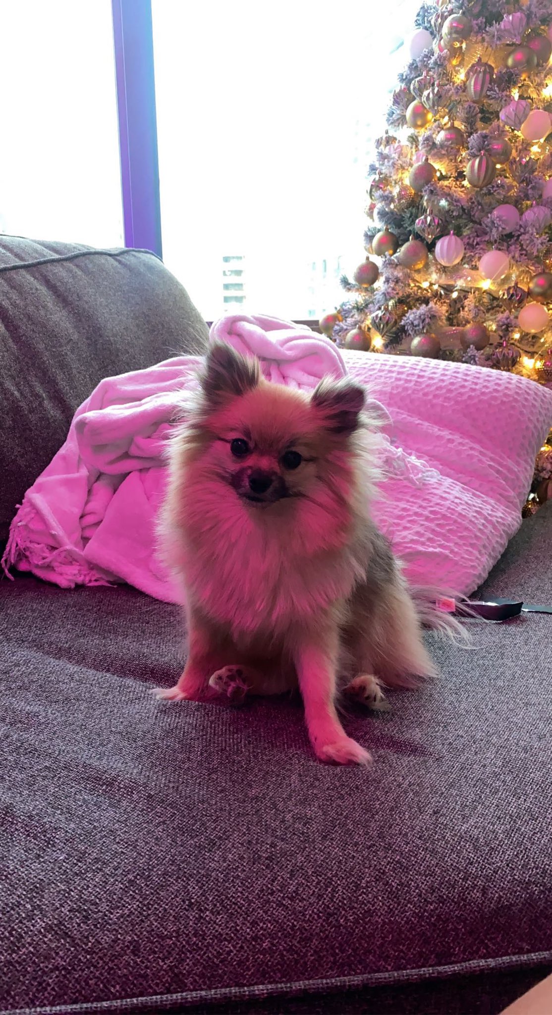 Hanaaels (@Hanaaelss) / Twitter