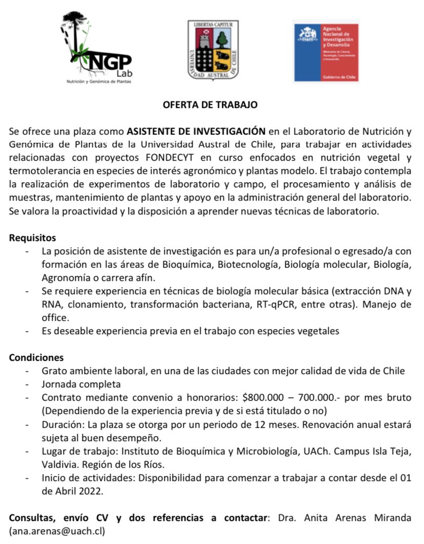 Compartimos con uds. esta OFERTA LABORAL en Valdivia 🇨🇱 enmarcada en el proyecto FONDECYT de la Dra. Anita Arenas