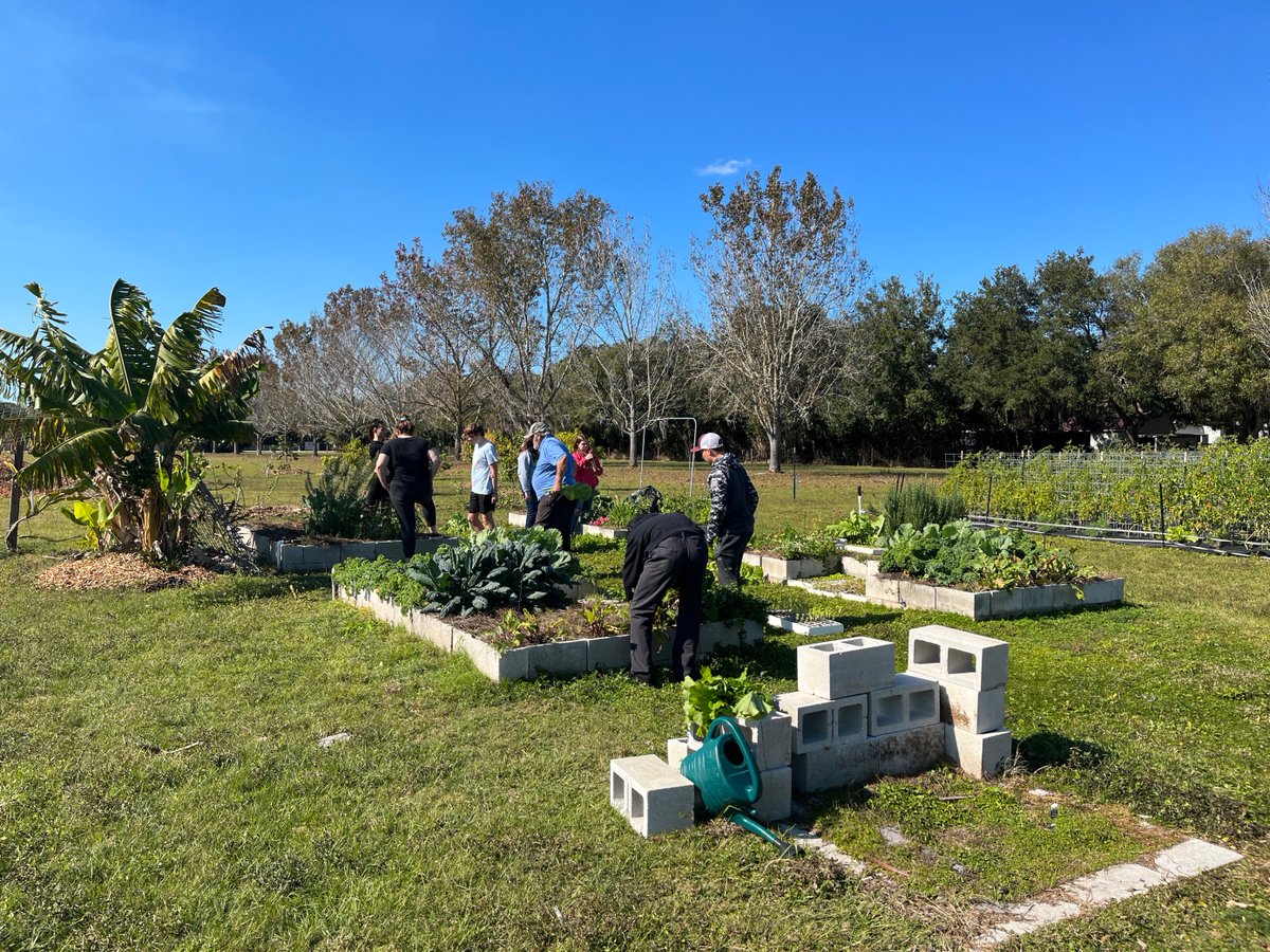 CTEsrq's tweet photo. With student help in a growing space of fewer than 2000 sq ft, in 12 weeks, #thefarmscs was able to yield over 150 pounds of produce that went directly into our cafeterias and culinary programs! The tomato plants are THRIVING, producing over 80lbs.
#CTEMonth #CTEscs #farmtotable https://t.co/DaKP0G7LrN