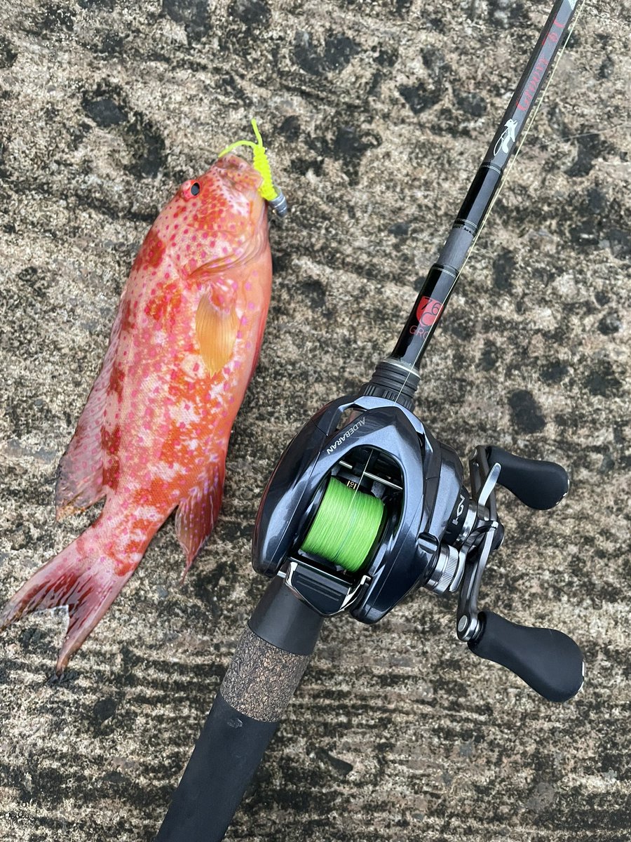 Bearmanfishing's tweet photo. 新紀錄魚種
#tulalajp #小物釣い  #Aldebaran #groovy76c #釣り好きと繋がりたい #釣り好きな人と繋がりたい https://t.co/J07KkGt5JC