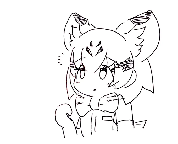 🐱 
