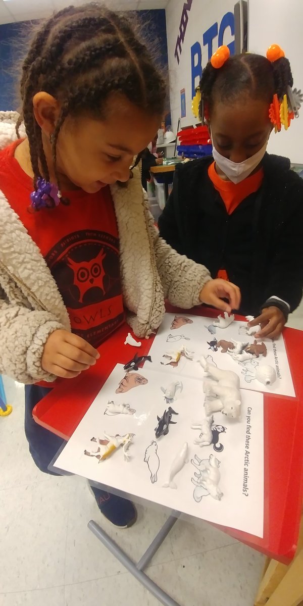 MAEF STEM Studio tweet media