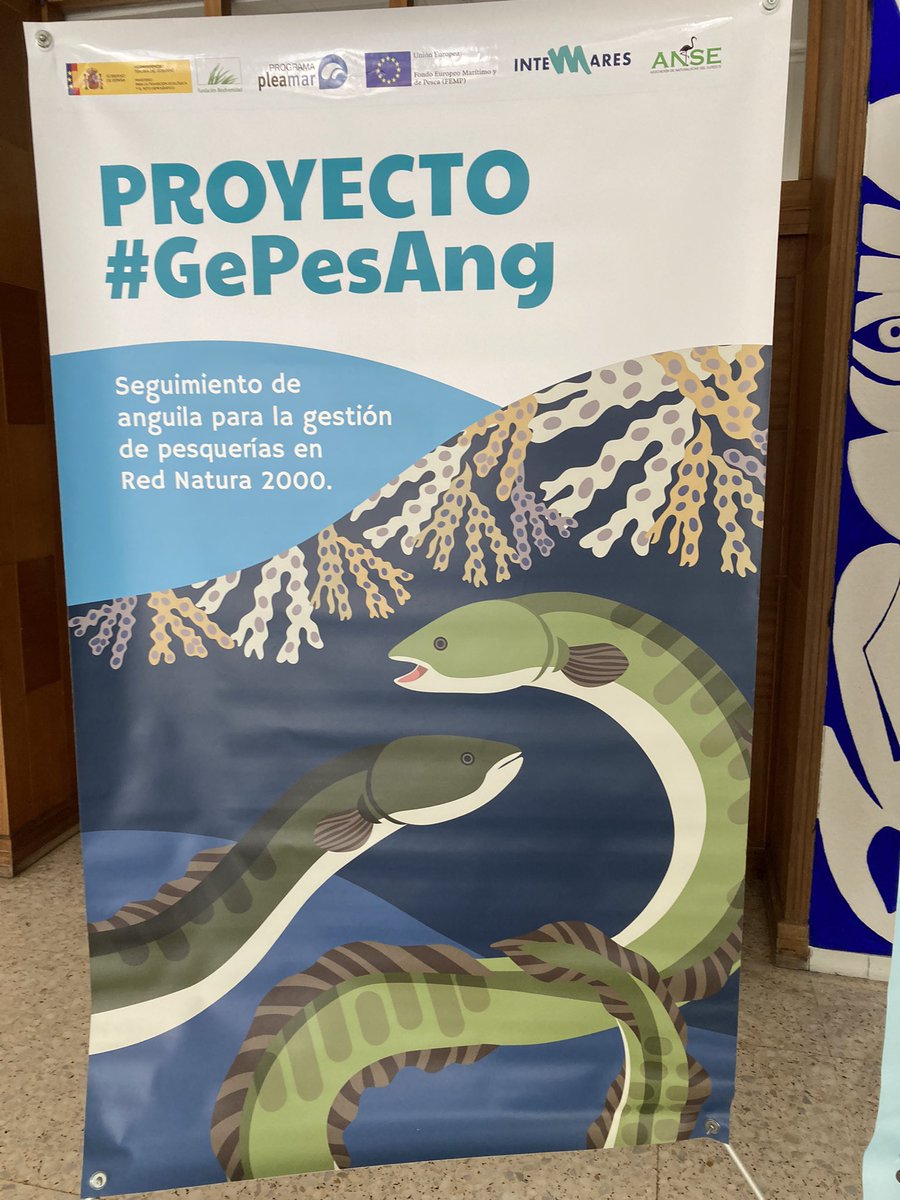 iesflori's tweet photo. Y no se nos olvida la exposición cedida por ANSE @asociacionanse : PROYECTO #GePesAng sobre el seguimiento de la anguila. https://t.co/KM7uXJnMXs