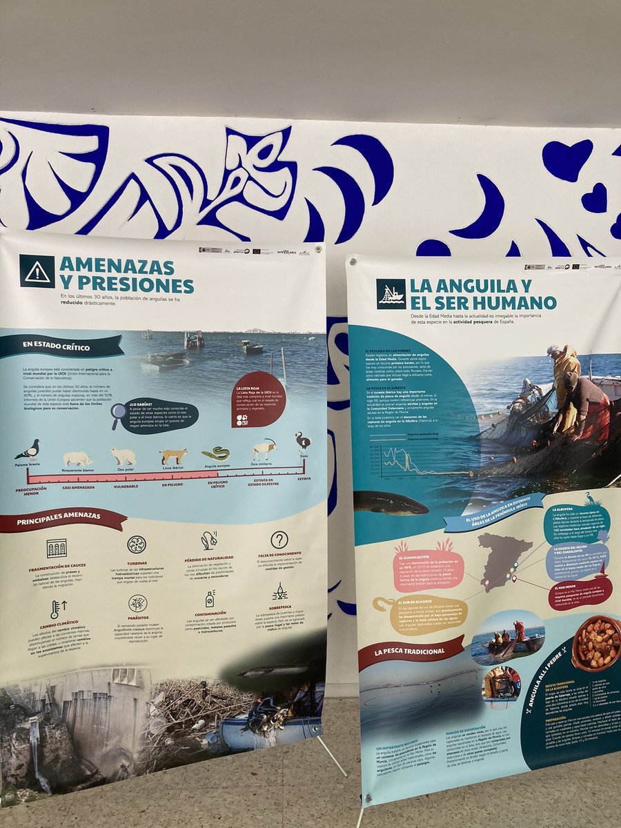 iesflori's tweet photo. Y no se nos olvida la exposición cedida por ANSE @asociacionanse : PROYECTO #GePesAng sobre el seguimiento de la anguila. https://t.co/KM7uXJnMXs