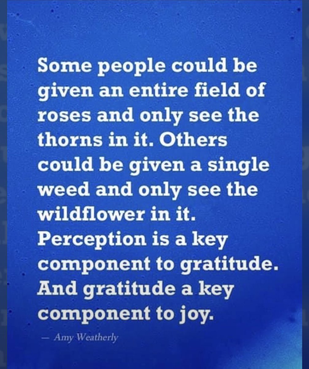 JudyGriffis's tweet photo. https://t.co/fJ7YrwtKsO