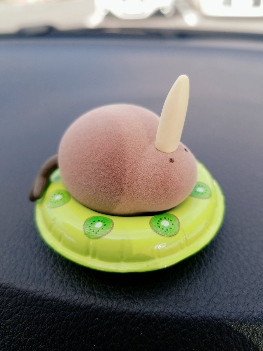 rirari1203's tweet photo. 🥝 https://t.co/RH0EZ2Md6p
