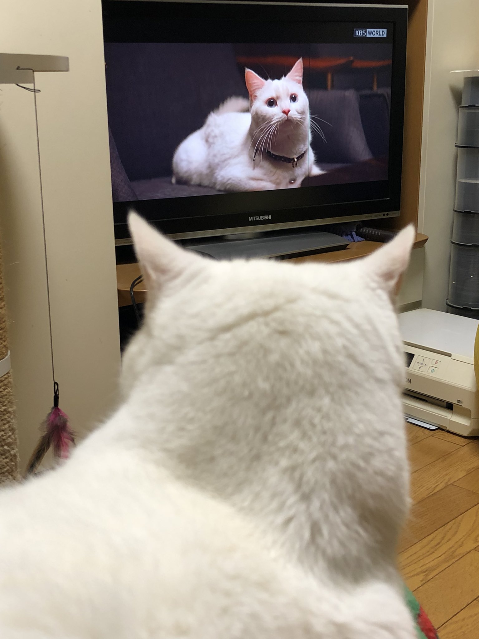 おかえり ただいまのキスは屋根の上で Twitter Search Twitter