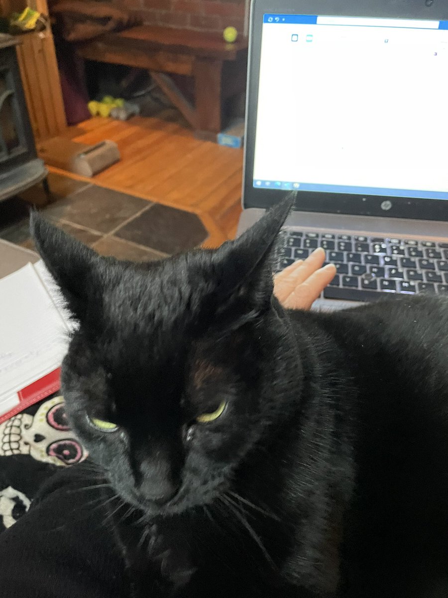 hfairb's tweet photo. When your workmate is less than helpful… https://t.co/WfXu0fNfKh