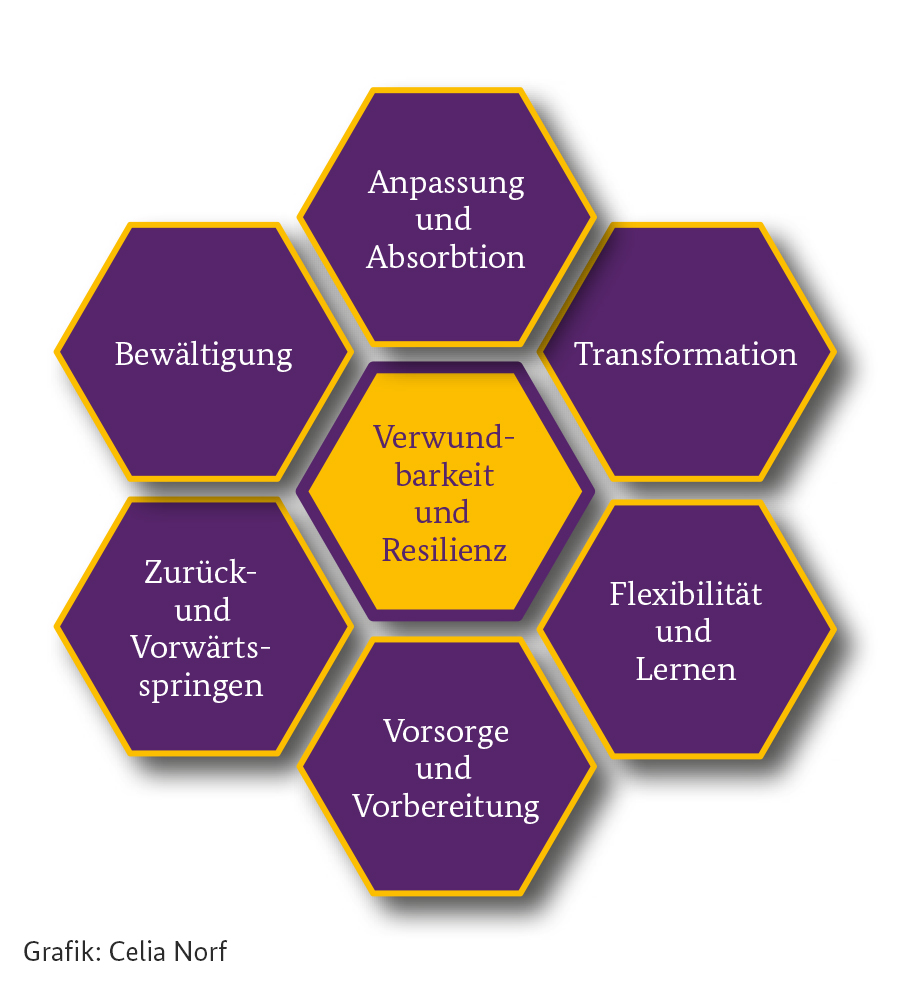 BBK_Bund's tweet photo. #Verwundbarkeit und #Resilienz sind aktuell vieldiskutierte Begriffe. Wie steht es aber um die Eindeutigkeit der Definition dieser Begriffe? Ab Seite 42 im #BevSMag können Sie eine Übersicht gewinnen und in die Diskussion einsteigen:
https://t.co/RtWHVbD8VT https://t.co/mZeVmCz3Uq