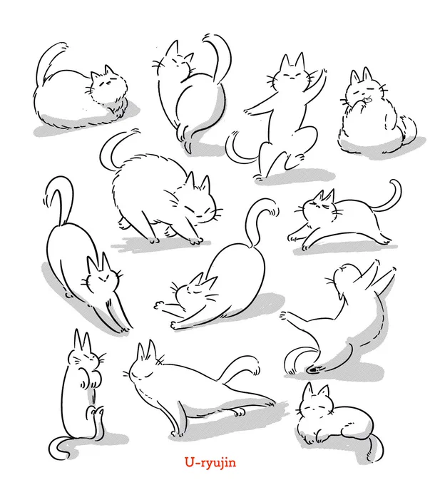 今日は猫をいっぱい描きました🐾 