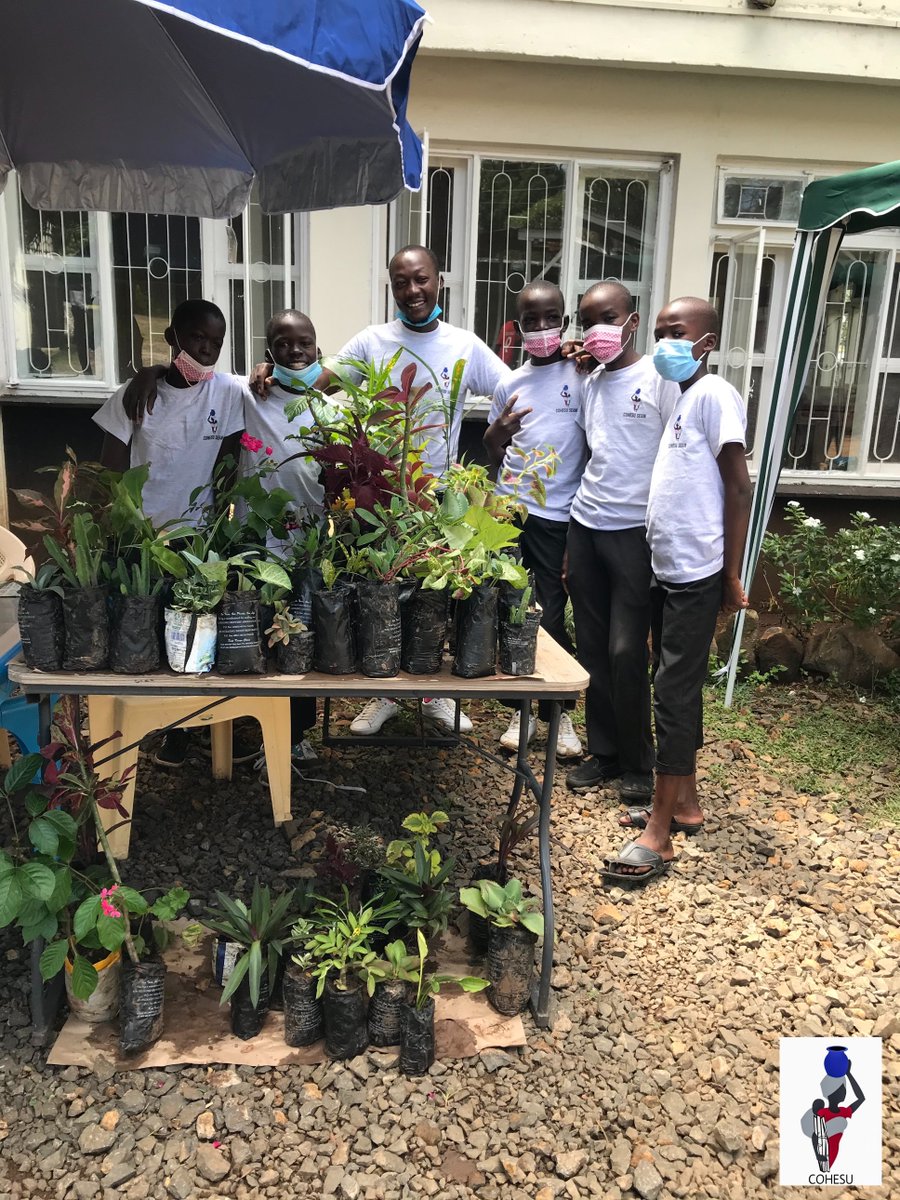 Horticulture &amp; Floriculture Program - Follows the objectives of an enhanced nutrition and also economic development of our SEAM kids and their families.
Read more details on our Facebook (facebook.com/Cohesu) or Instagram (instagram.com/cohesu/?igshid…)