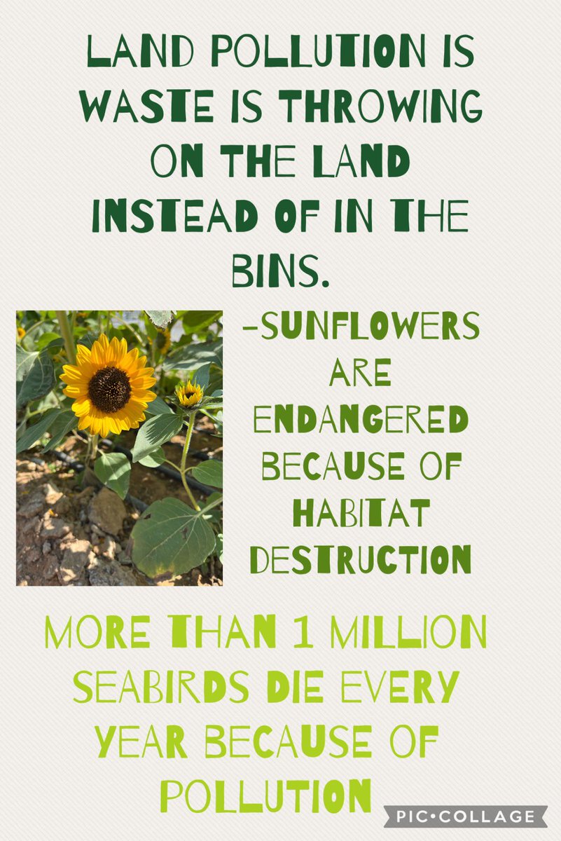 savetheearth704's tweet photo. protect the land because we share it with everyone! https://t.co/TkyJYGz3ap