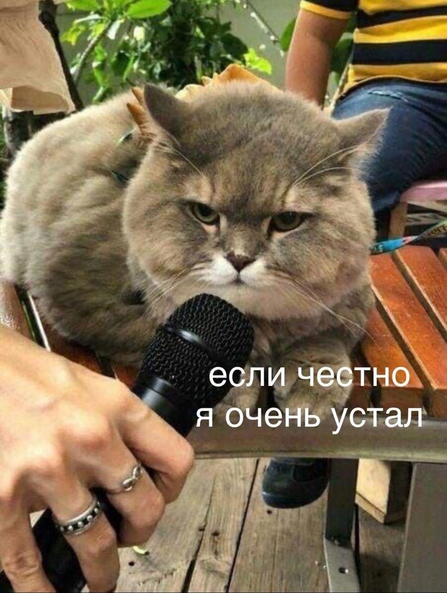 RussianMemesLtd's tweet photo. Honestly, I'm very tired https://t.co/LM5aqyWu8b