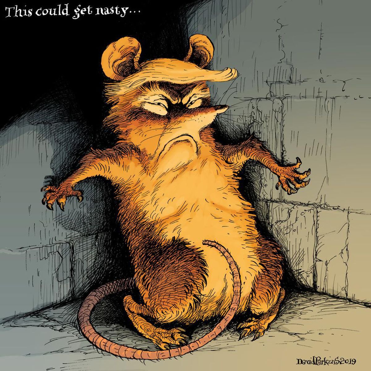 r_green24's tweet photo. A cornered animal often gets very defensive. As cornered humans in high office can’t bite, kick or throw faeces, it appears they try to bribe, kick out competitors & throw insults/mistruths instead. #AnimalBehaviour #LikeARat #NoBetterThanAnAnimal https://t.co/vCmn0dgVqp