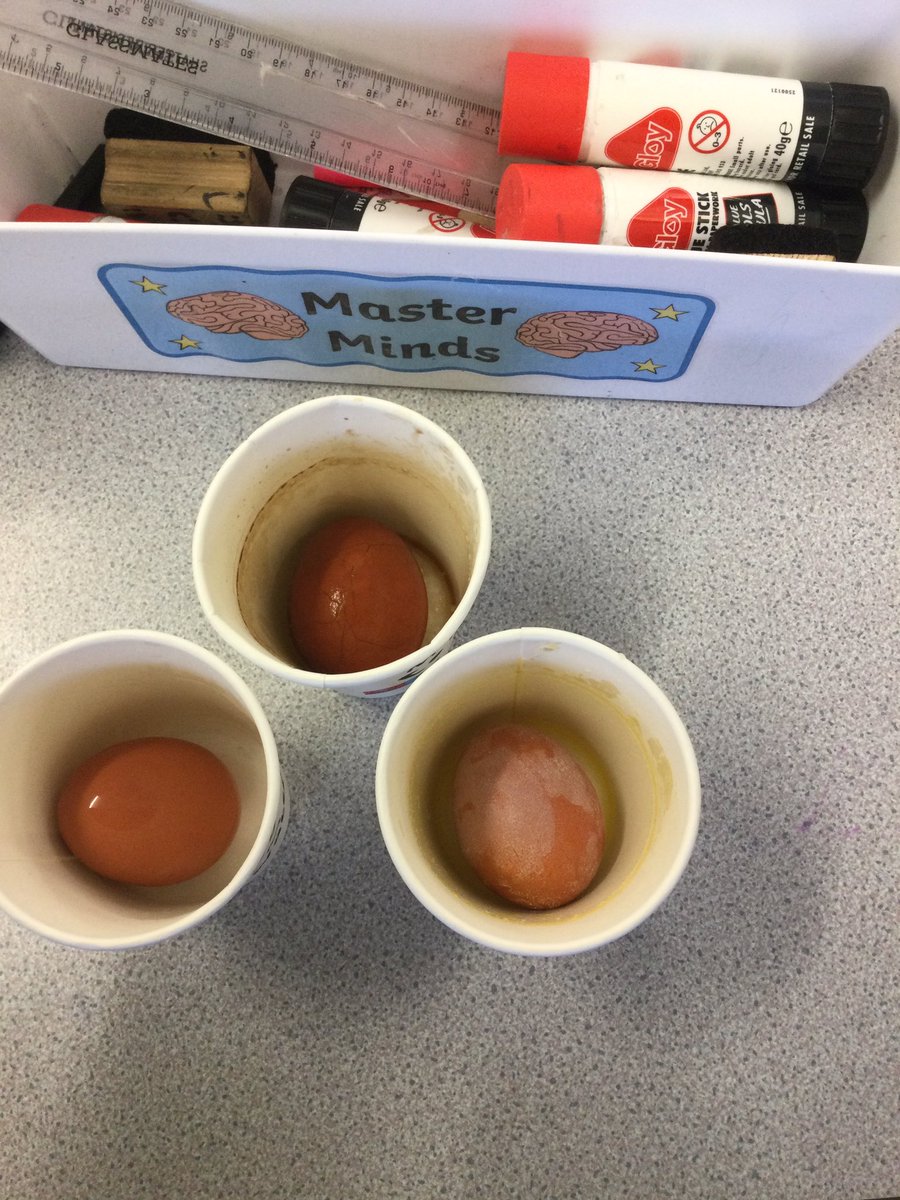 ThamesideSch's tweet photo. Last Thursday we put hard boiled eggs in water, orange squash and cola to see the effect these drinks have on our teeth. Today we looked at the results. #disgustingscience #GBFtps https://t.co/Ke2neZA7Vt