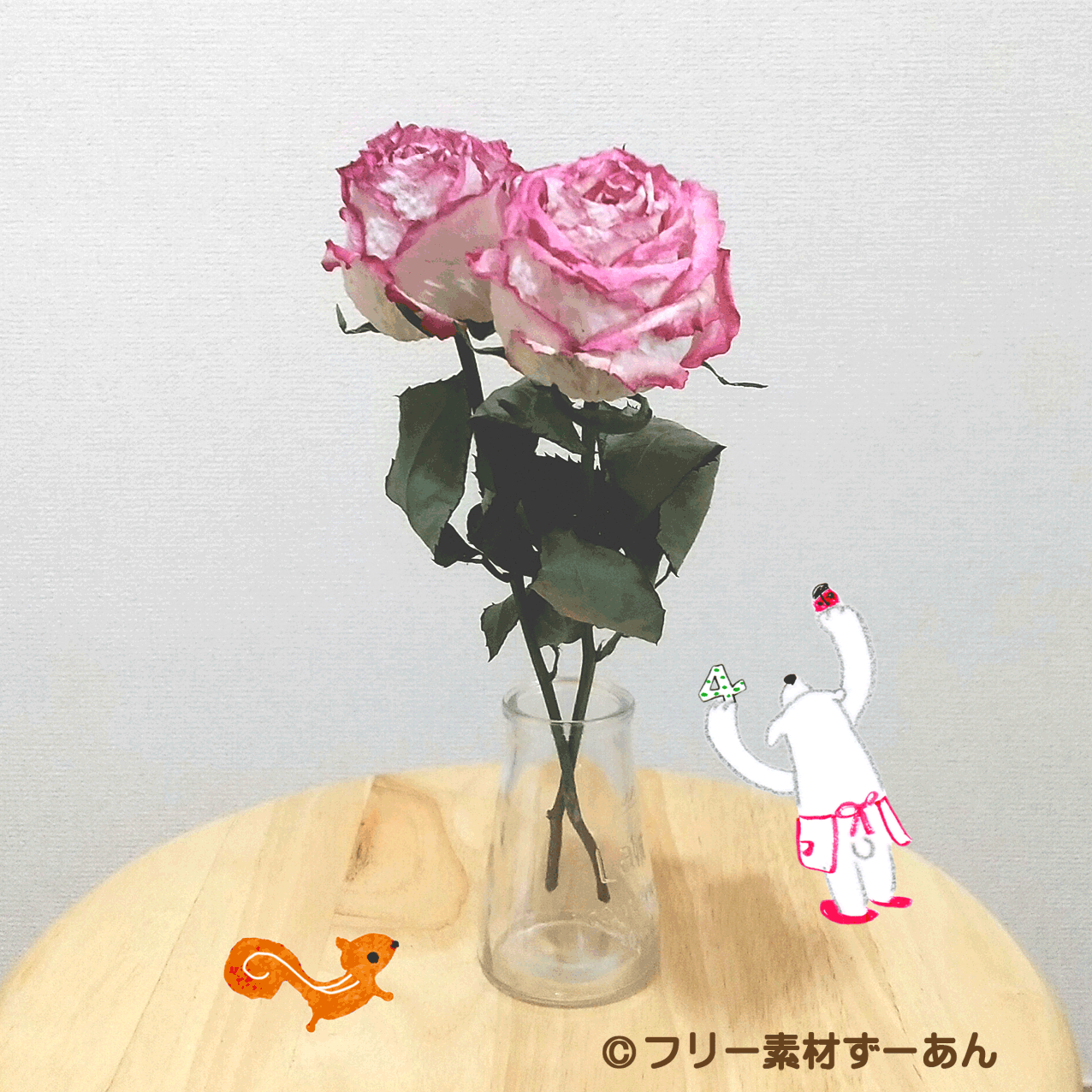 入江めぐみ フリー素材ずーあん Zooand55 Twitter