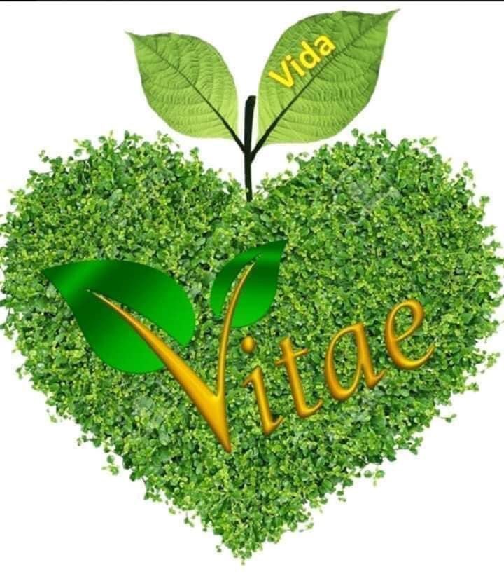 Lthtuyt64607511's tweet photo. Ngành tư pháp Bỉ im lặng trước sự kêu cứu của 230.000 thành viên #Vitae trên toàn cầu chính là hành động vi phạm pháp luật nghiêm trọng nhất!@@BTCTN @ABC @ABCWorldNews @SkyNews @BitcoinMagazine @CBSNews @BelOecdUnesco @Europol @belgiuminjo @alexanderdecroo https://t.co/60VMWKfO5o