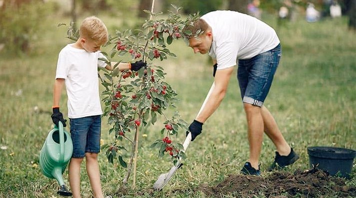 мужчина сажает дерево. ограничения участков посадка деревьев. дети сажают деревья. садить деревья. человек садит дерево.