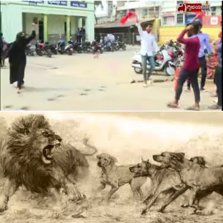 SujitRo76777168's tweet photo. Real sherni 🦁🦁🦁🦁🦁🦁

#HijabRow https://t.co/Sikh405J1y