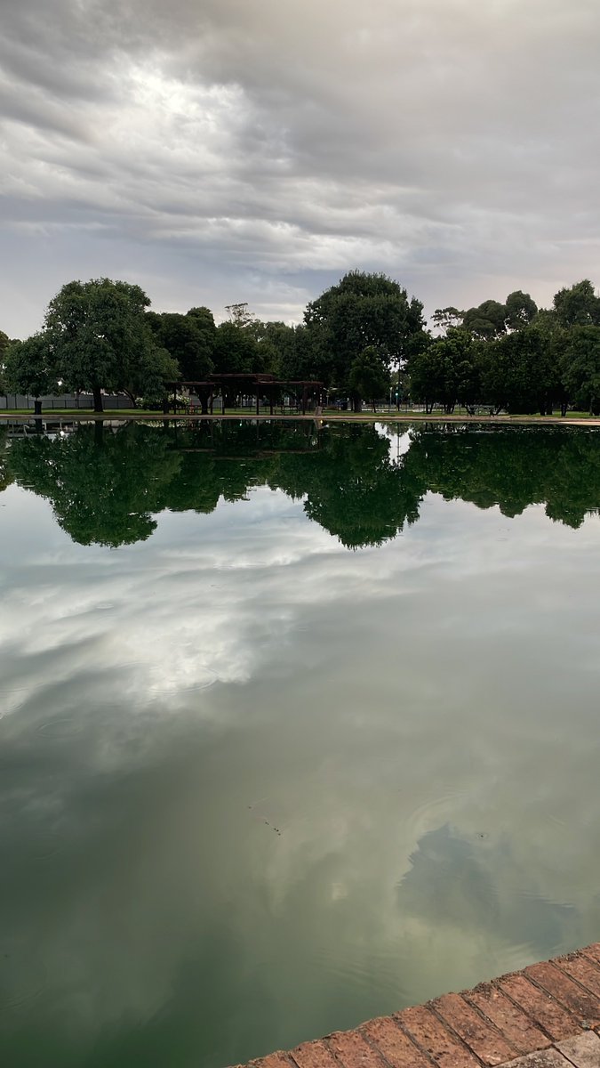 B 🇸🇦🇦🇺 (@241ii) on Twitter photo 