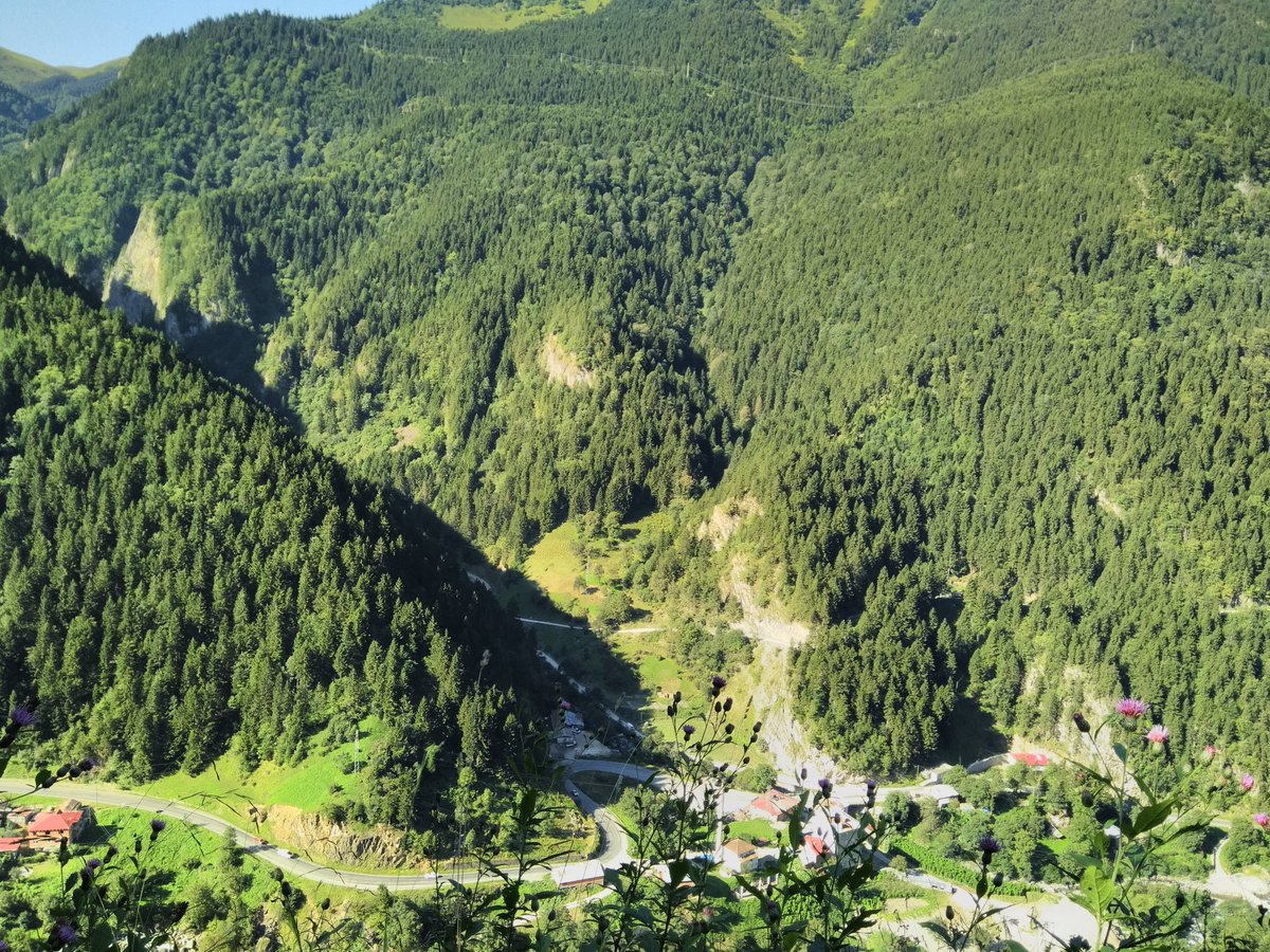 alir_yalc's tweet photo. @SefiBolge #Trabzon #Arakli #Catak https://t.co/kPfDGEg3bf