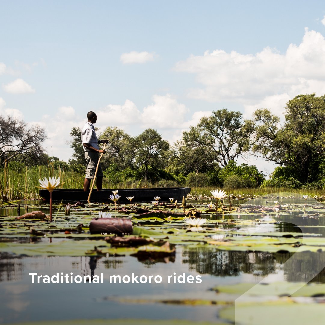 WeAreWilderness's tweet photo. Ahead of its reopening in April, we want to share some exciting adventures you can embark on at #VumburaPlains 🦛 Read more about this sublime camp in #Botswana: https://t.co/EShGN7kMGr
#WildernessSafaris #AfricanWildlife #SafariActivities #AfricanSafari #OkavangoDelta https://t.co/ngtS4xwnGX