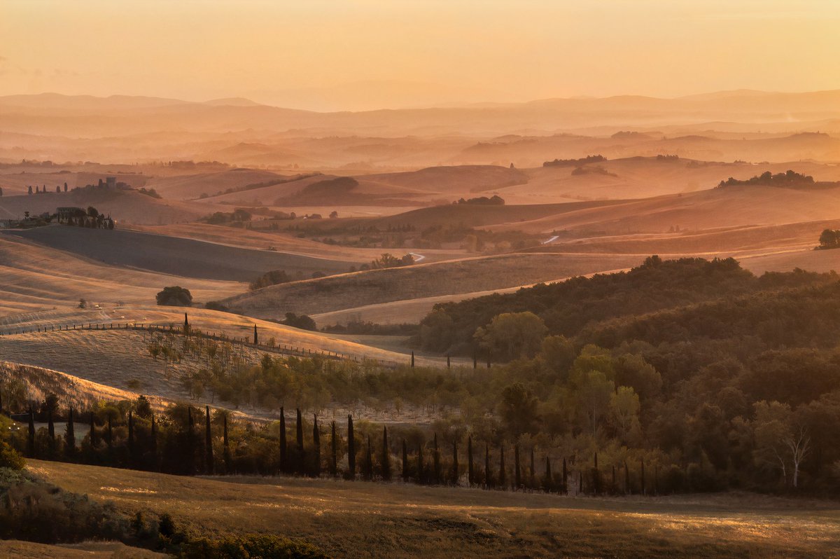 laradavid.eth tweet media