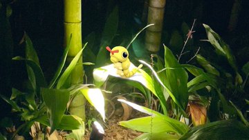 ポケモンgo 静岡県公式のarフォトコン開催中 優秀作品には特産品プレゼントも Mogulive