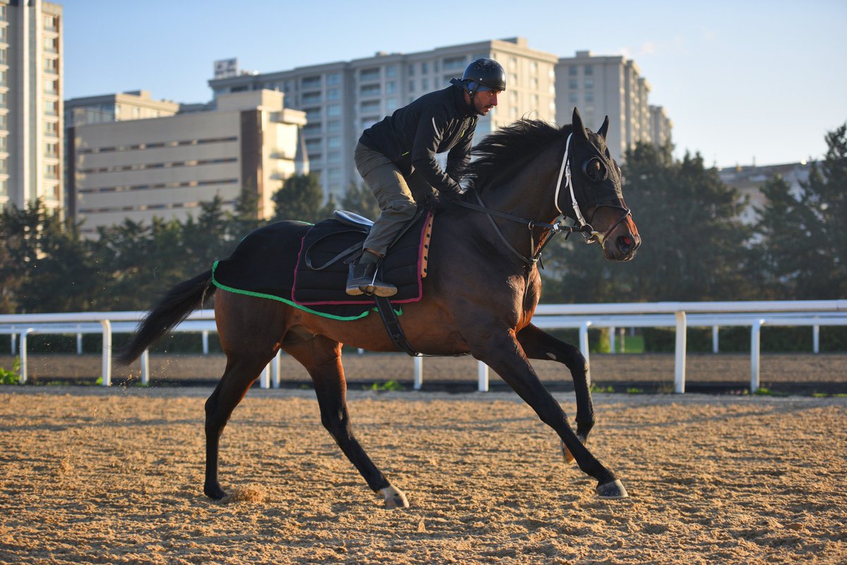 Uğurtay , Dubai Curlin Stakes 4. oldu