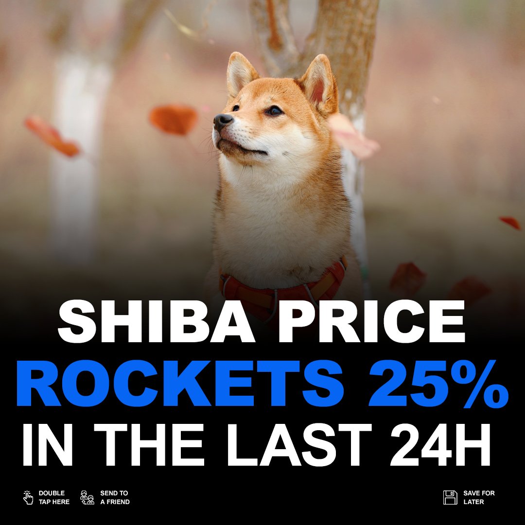 Coins Meter tweet media