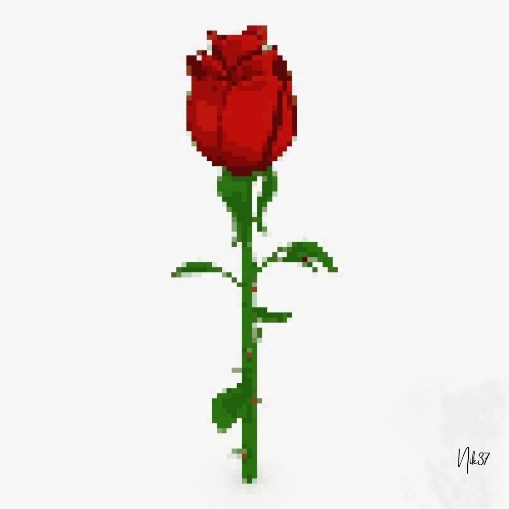 Niknft37's tweet photo. Specially created for Valentine's .Red pixel roses symbolize love and romance and are the perfect Valentine's rose. Digital art hand made 

https://t.co/gj5E2eXmll

@justinbieber
@djkhaled @0xPolygon @opensea @Neymarxv @HamdanMohammed @elonmusk @chrisbrown @taylorswift13 https://t.co/DjoUtgQta7