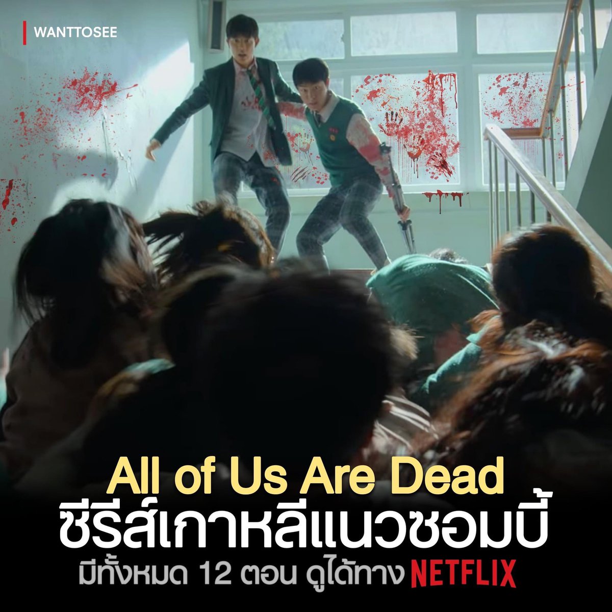 dexy_store's tweet photo. NETFLIX 45 บาท 
✅รีทวิต ลดเหลือ 39.- / เดือน 

จอส่วนตัว / แอคต่างประเทศ
✅รับเคลมตลอดการใช้งาน

#หารnetflix #หารnetflixราคาถูก #netflixราคาถูก #netflixหาร #หารเน็ตฟลิกซ์ #หารเน็ตฟลิกซ์ #NetflixTH https://t.co/vbPWzhtx04