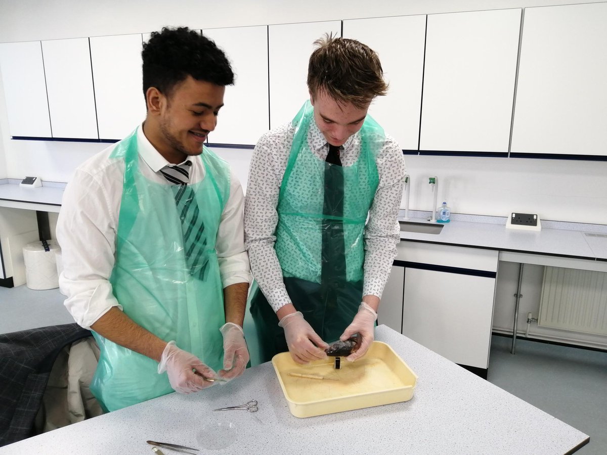 Biology_NHS's tweet photo. Year 12 very much enjoyed carrying out their fish head dissection in order to further investigate the gills as an exchange surface. https://t.co/foJL7aOiTN
