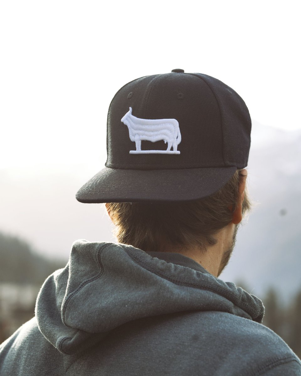SimmentalerB's tweet photo. Back in stock: Ab sofort sind die beliebten Simmentaler-Caps wieder erhältlich und zwar ab Brauerei oder im Onlineshop: https://t.co/nI4FyciZEf

#cow #farm #bauer #bauerledigsucht #kuh #bier #simmental #simmentaler https://t.co/aJENPjzPyW