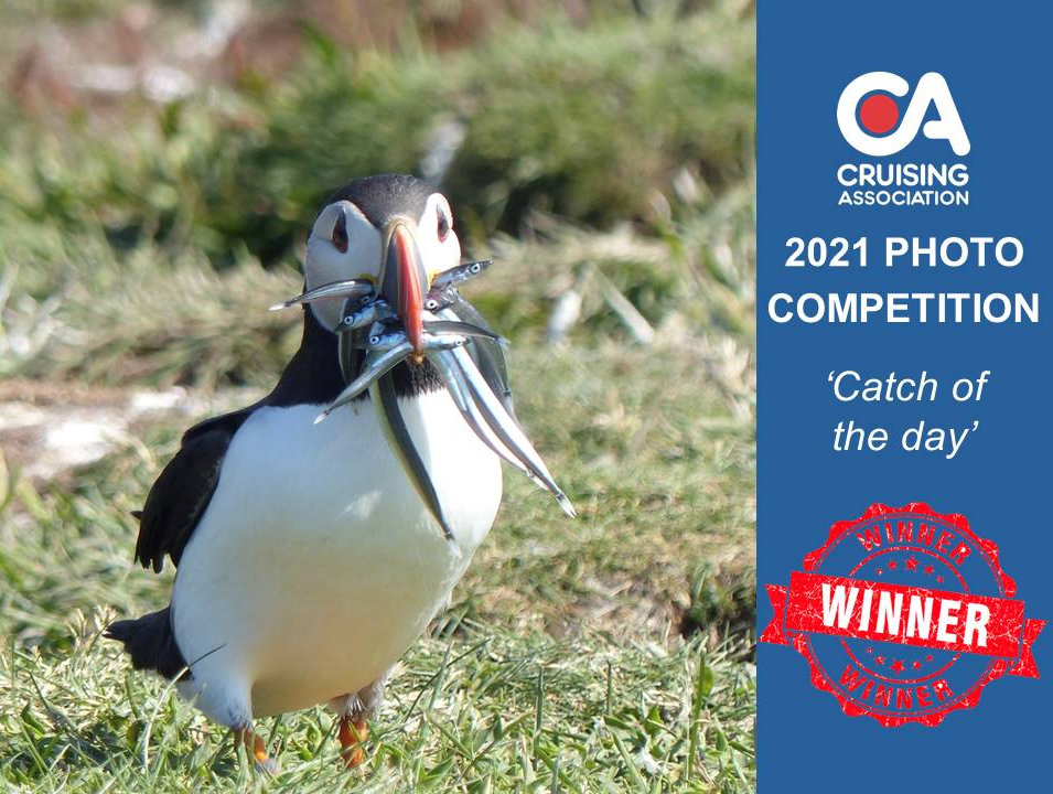 Cruising_Assoc's tweet photo. A Puffin’s ‘Catch of the day’ has won #TheCA Annual Photo Competition. 3 runners up prizes were also awarded. More 👉https://t.co/AFoECdF3JL
#CAPhotoComp2021 #Photography #Photo #CAmember #Cruising #nature #naturephotography #wildlife #puffin #birds #scotland #seabird #island https://t.co/UlgJDJ5B0C