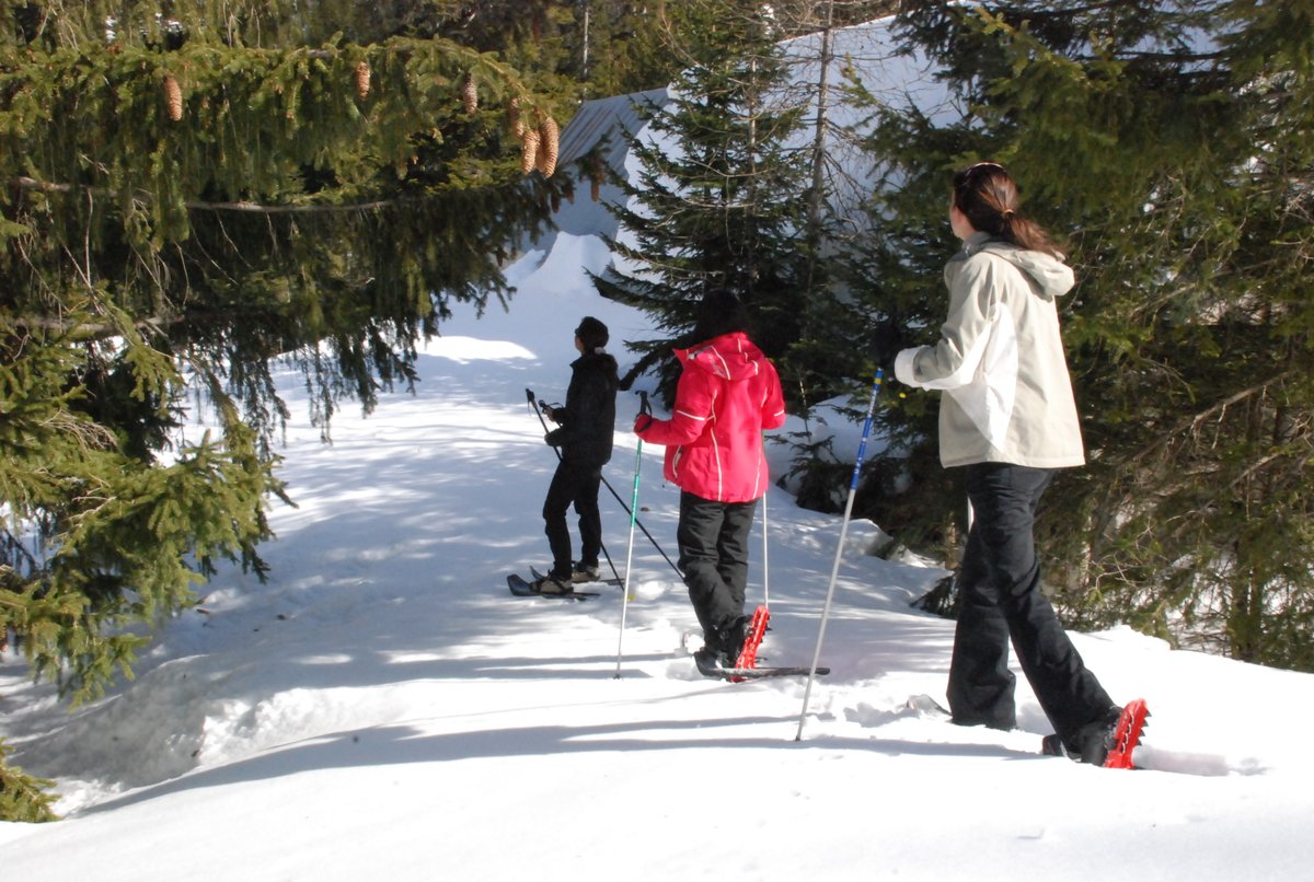 VisitCotedazur's tweet photo. Vous êtes plutôt raquettes ou ski nordique ? Au #Boreon, vous avez le choix !
Profitez-en pendant vos vacances !
Pour en savoir plus 👉 https://t.co/ITHJRFN1sq
📸 @puremontagne #CotedAzurFrance #AlpesMaritimes #Hiver #ExploreNiceCotedAzur @ExploreNCA @AlpesMaritimes https://t.co/NxhZwEdFjs