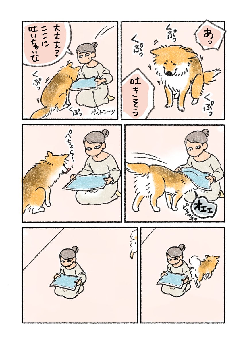 吐きそうになっている犬さんにペットシーツを差し出したら 違う そうじゃない 案件に 犬猫飼いからあるあるの声 Togetter
