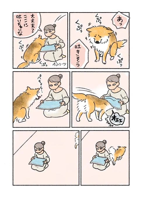 あったかかったです 