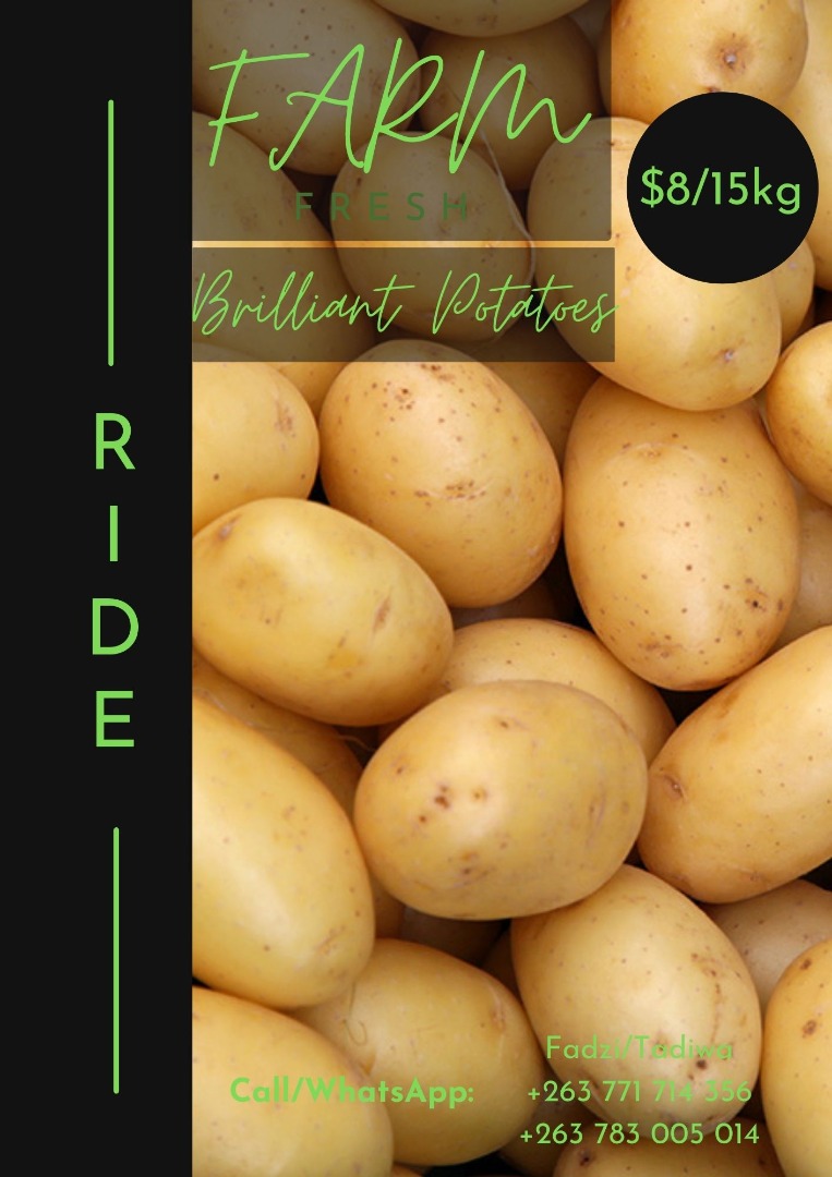 Tadiwa_Muchemwa's tweet photo. Ride Farm bringing fresh farm produce to your door! 

Rt for awareness! https://t.co/VrgaBdmRSA