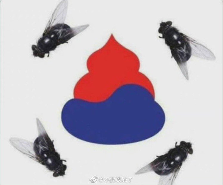 sleeping0803's tweet photo. #JusticeForKorea https://t.co/CZubmDLst9