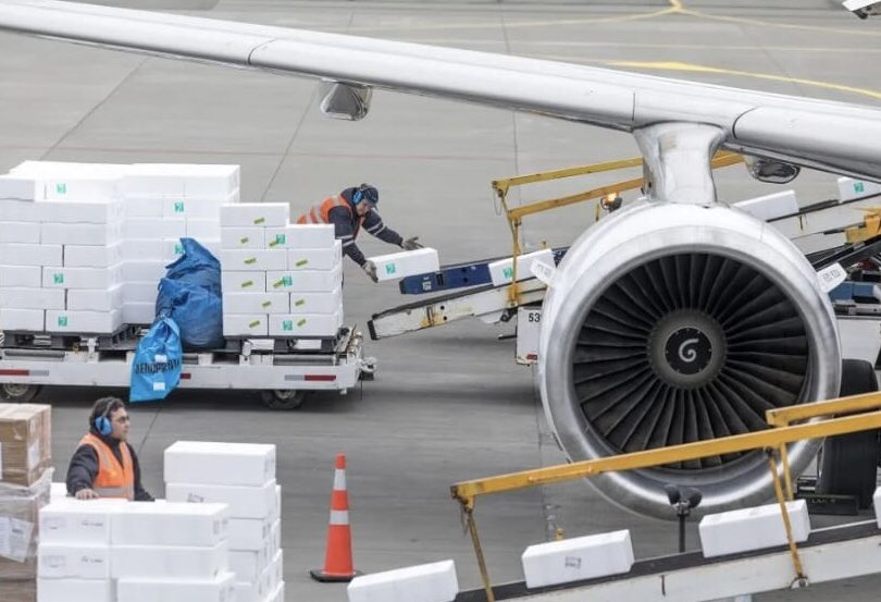 fast_roxy's tweet photo. Air freight versus sea freight – How to choose in 2022 https://t.co/PLZj0hEg0r                                     #shipping #freight #airports #goods #MONEY #global #cost #blog #business #roxyfastfreight #Transport https://t.co/3zz9Nzx1xy