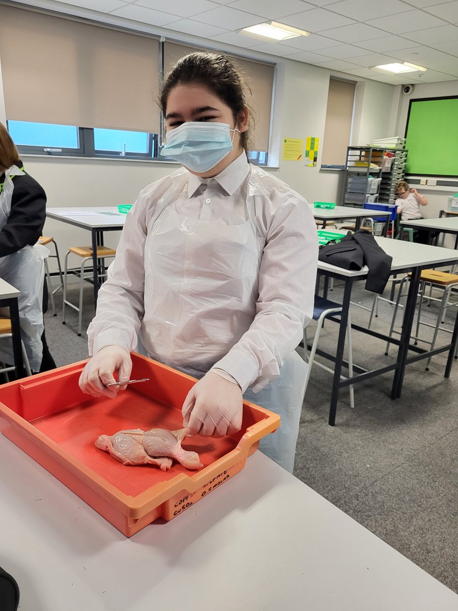 Mrs Barton👩🏼🔬 tweet media