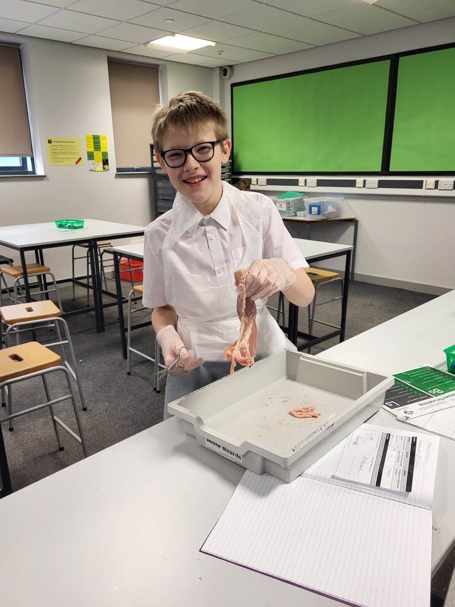 Mrs Barton👩🏼🔬 tweet media