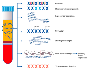 SN_Oncology's tweet photo. Register for our Springer Nature Oncology webinar on ‘Circulating Markers for the detection of cancer’, airing next week, with a panel discussion chaired by Prof Klaus Pantel: https://t.co/USfqXhrBNy … #liquidbiopsy #ctDNA #CirculatingTumourCells https://t.co/sQtLnr4lm5